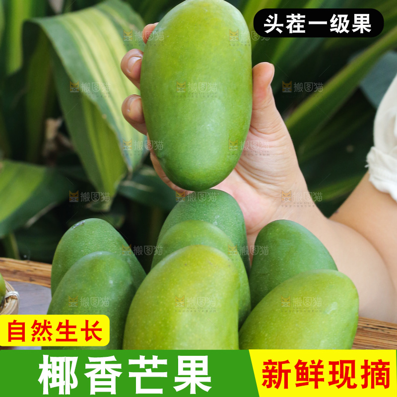 手里拿着椰香芒