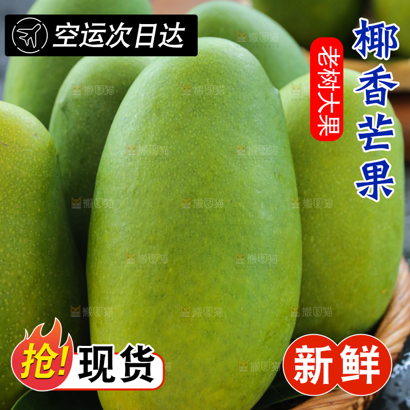 深底上的椰香芒
