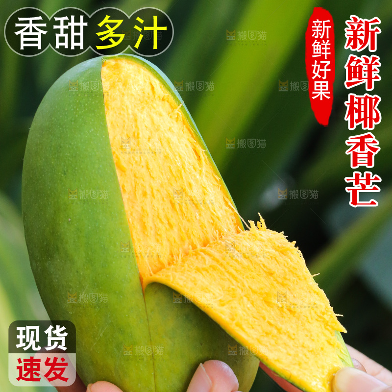 手里拿着椰香芒