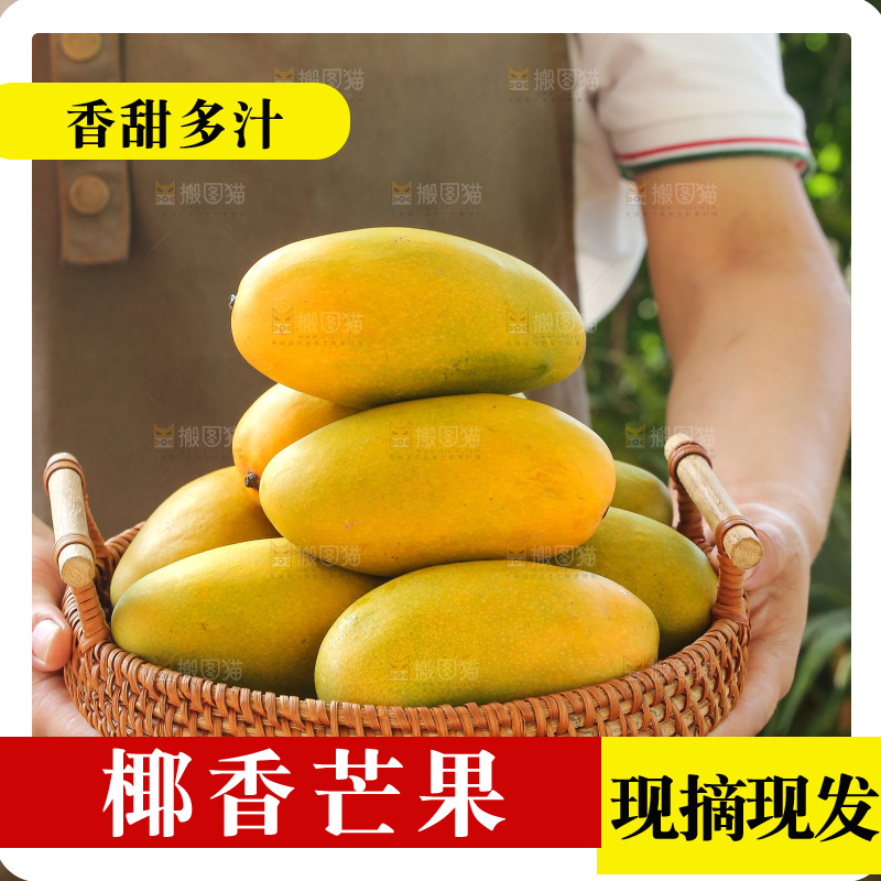手里拿着椰香芒