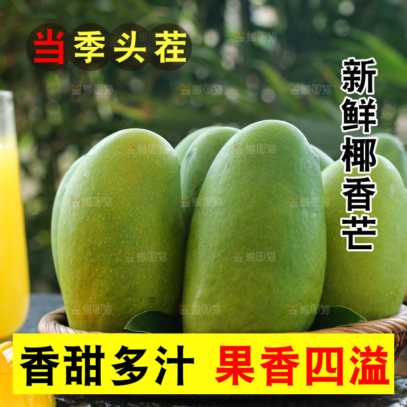 深底上的椰香芒