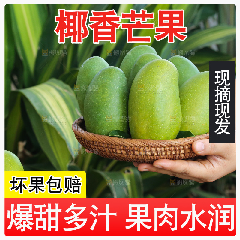 深底上的椰香芒