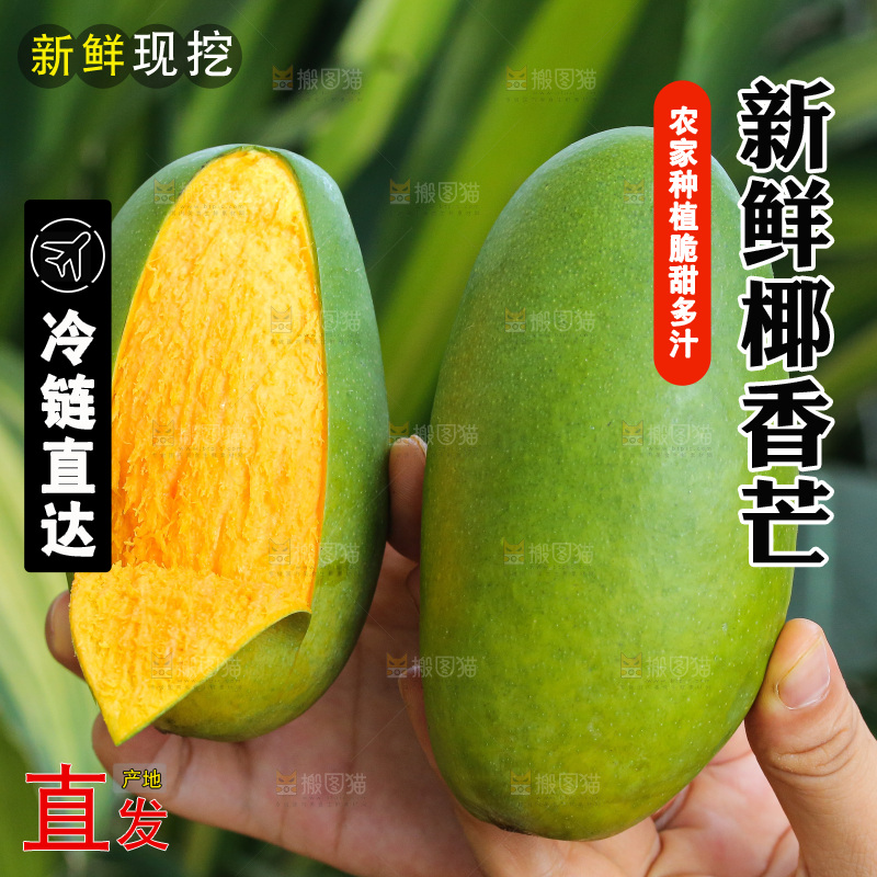 手里拿着椰香芒