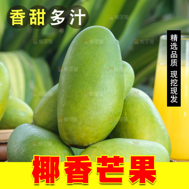 深底上的椰香芒