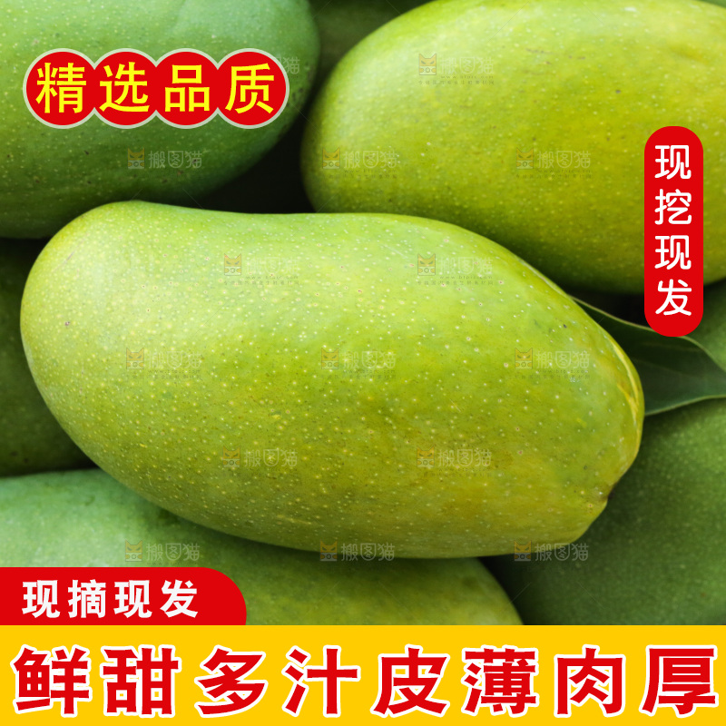 深底上的椰香芒