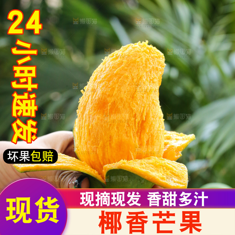 深底上的椰香芒