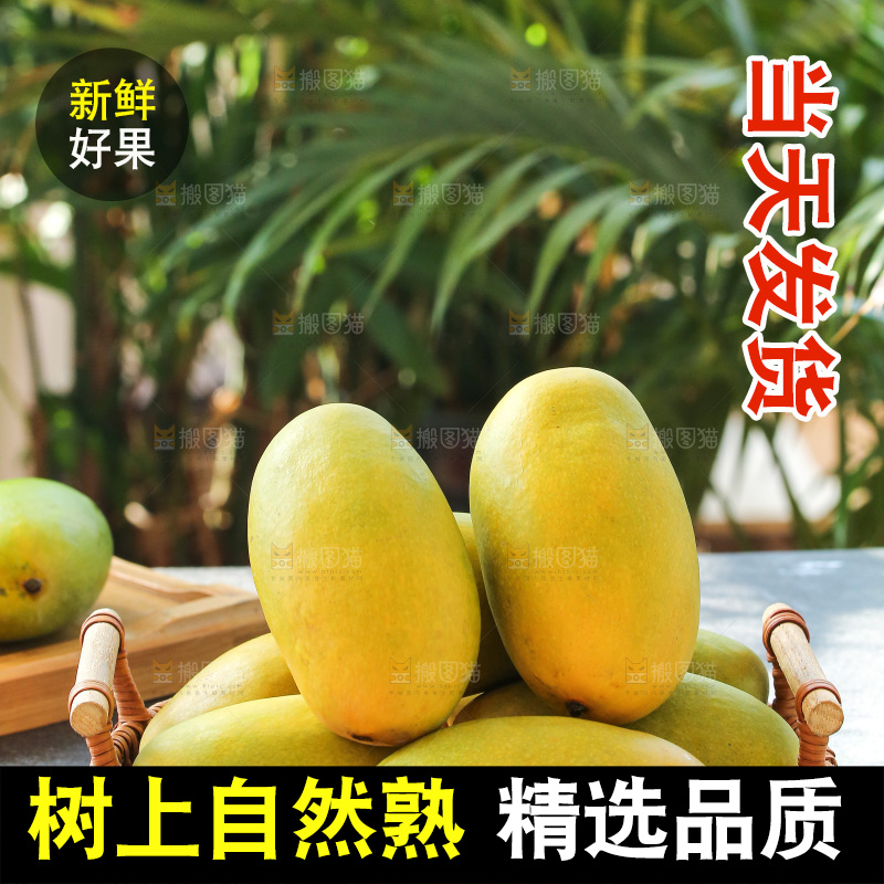 深底上的椰香芒