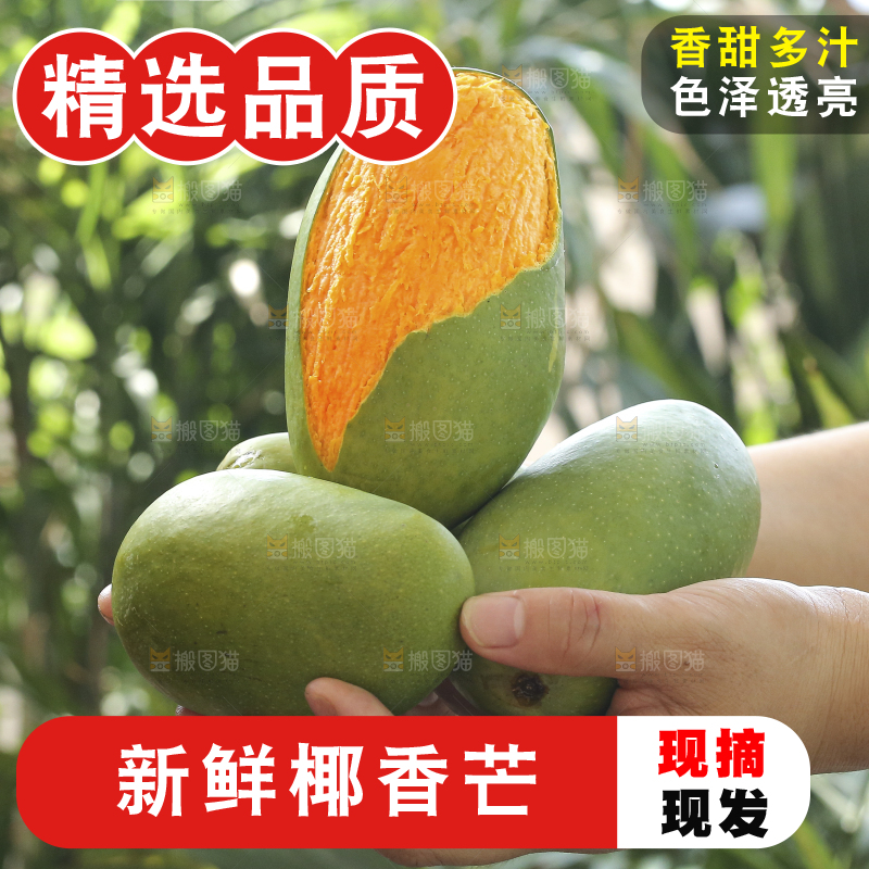 手里拿着椰香芒