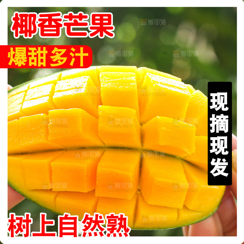 手里拿着椰香芒