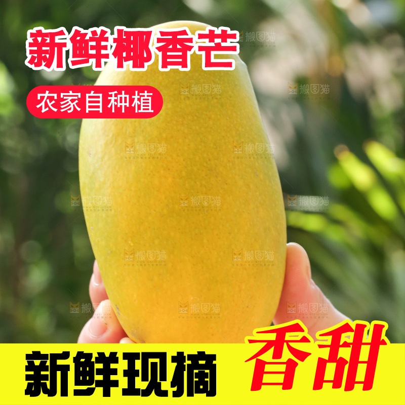 手里拿着椰香芒