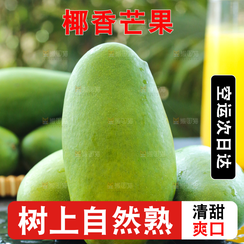 深底上的椰香芒