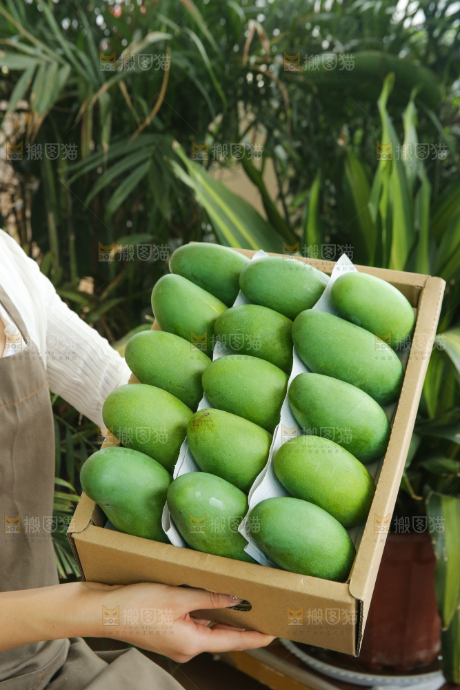 手里拿着椰香芒