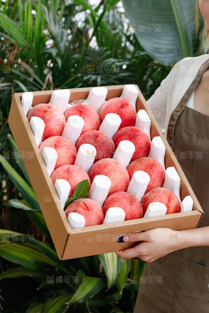 手里拿着苹果桃