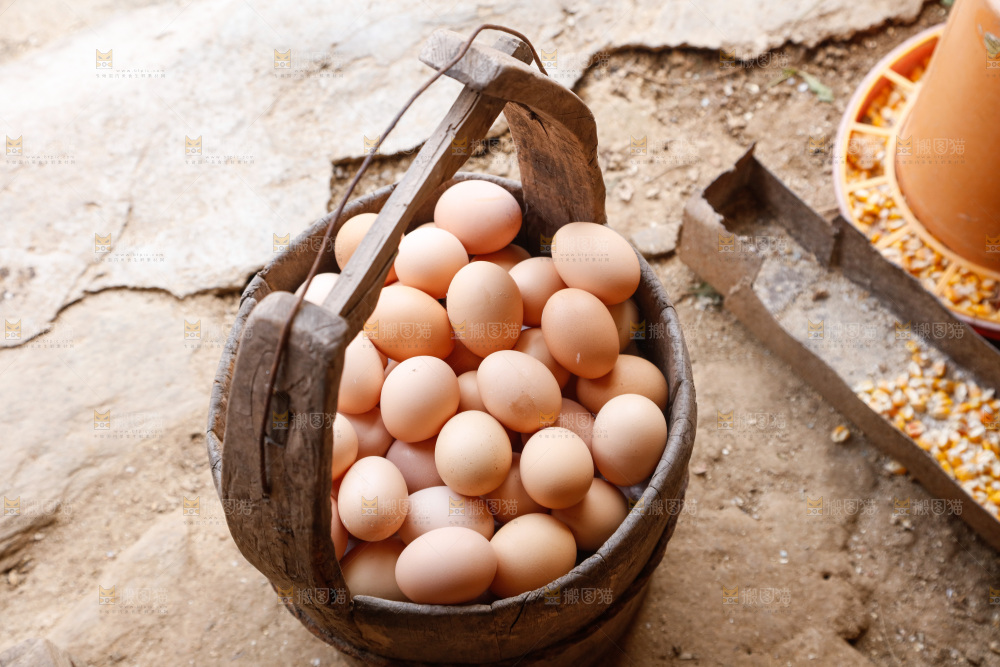 地上放着新鲜土鸡蛋