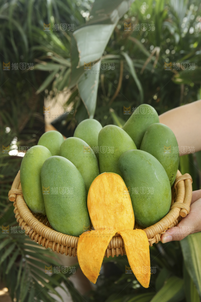 手里拿着椰香芒