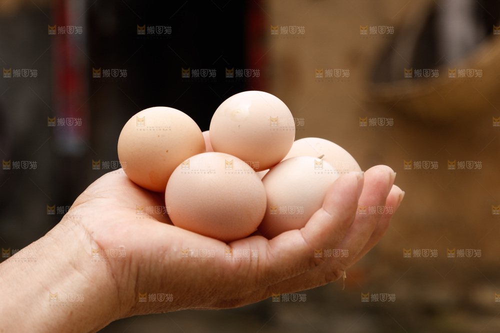 手里拿着土鸡蛋