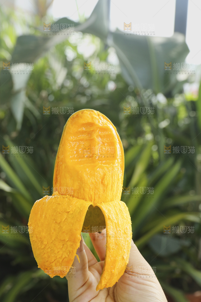 手里拿着椰香芒