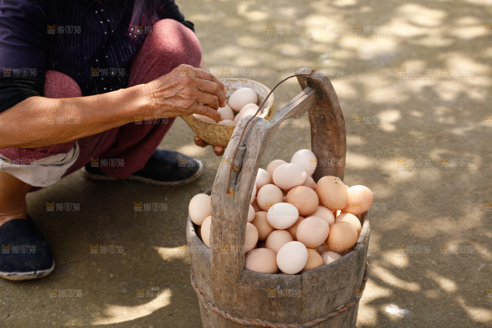 地上放着新鲜土鸡蛋
