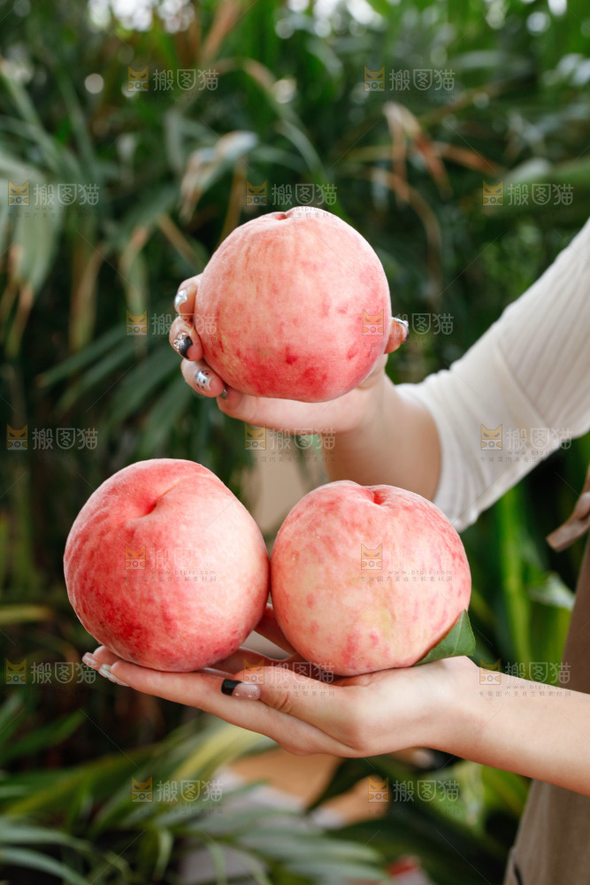 手里拿着苹果桃