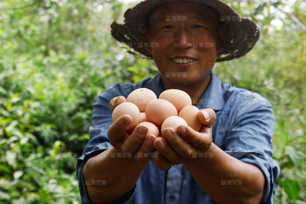 手里拿着土鸡蛋