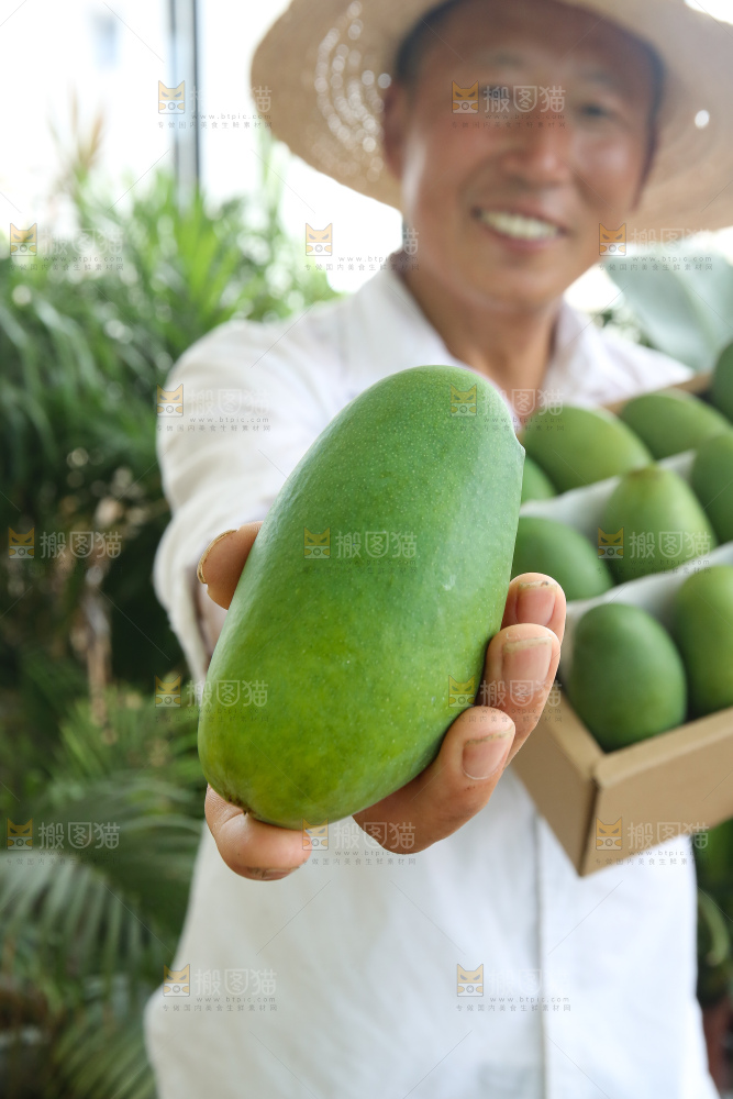 手里拿着椰香芒