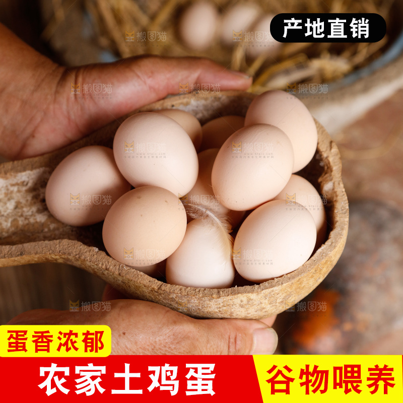 地上放着新鲜土鸡蛋