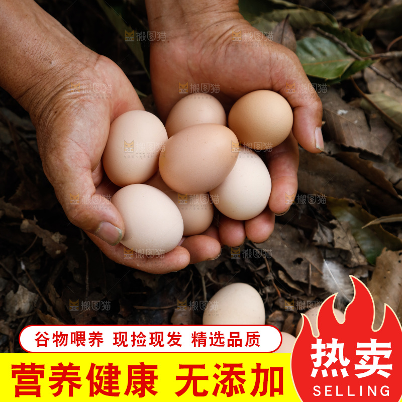 手里拿着土鸡蛋