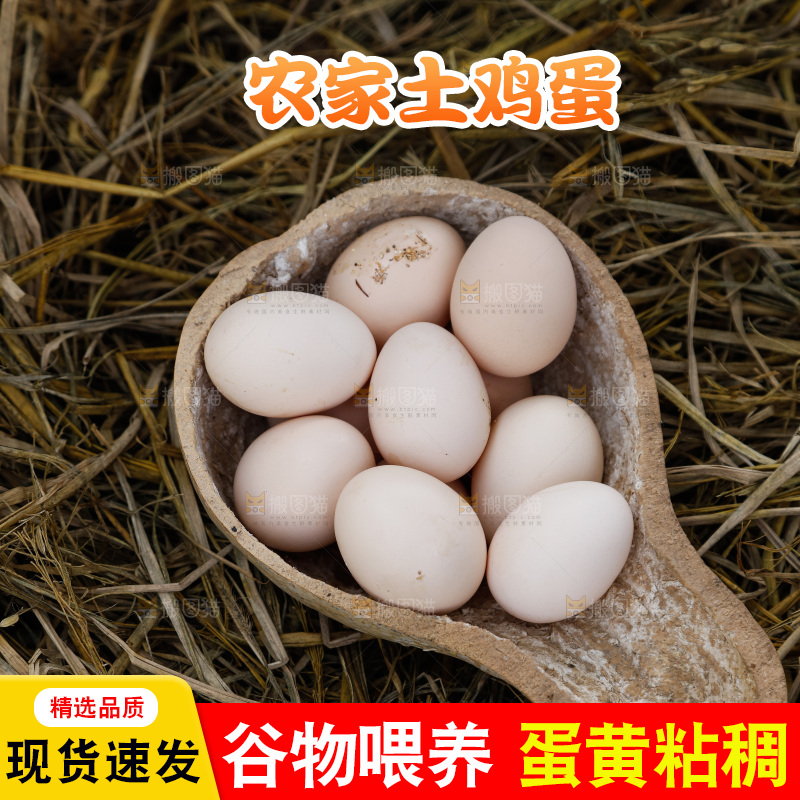 地上放着新鲜土鸡蛋