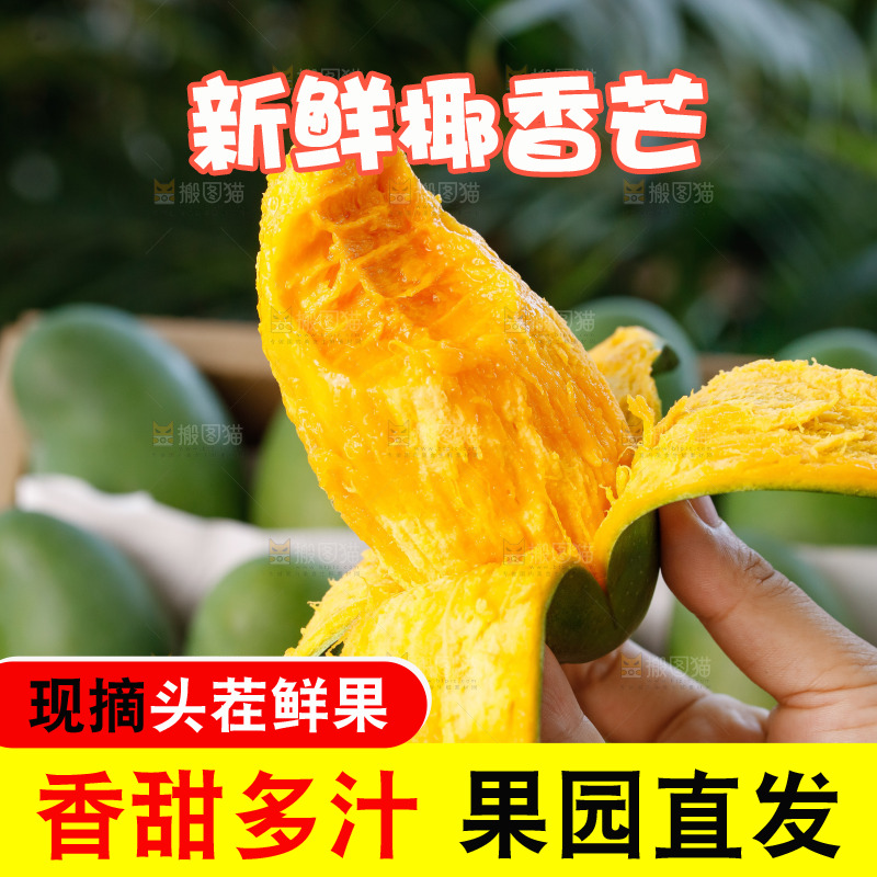 手里拿着椰香芒