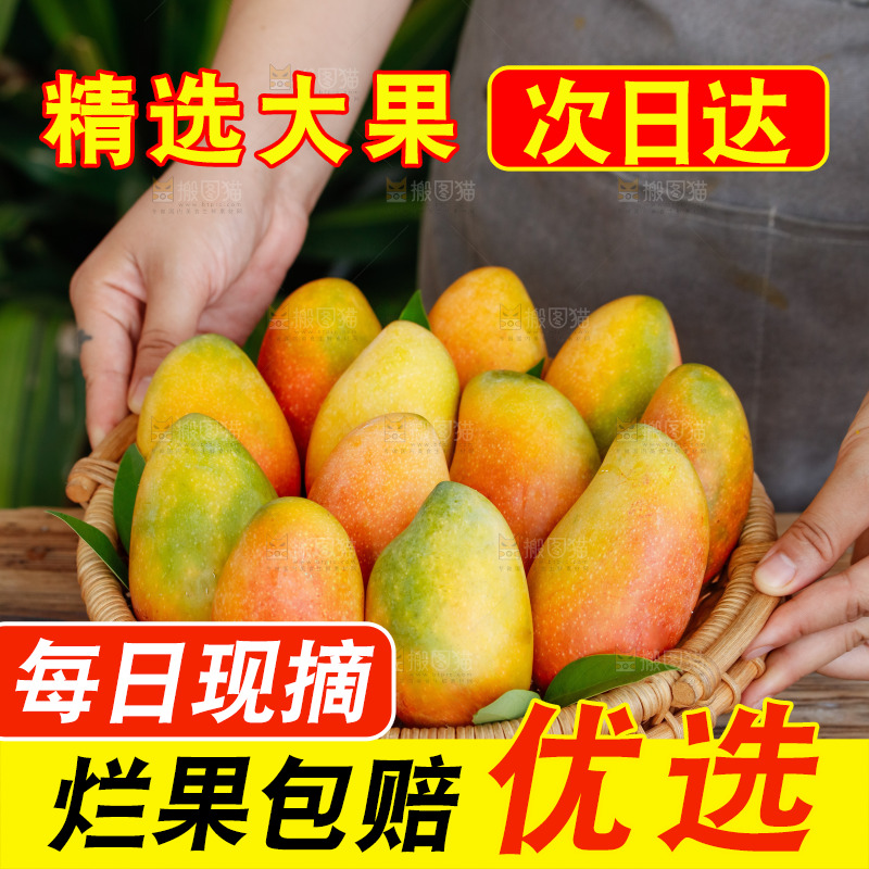 手里拿着贵妃芒