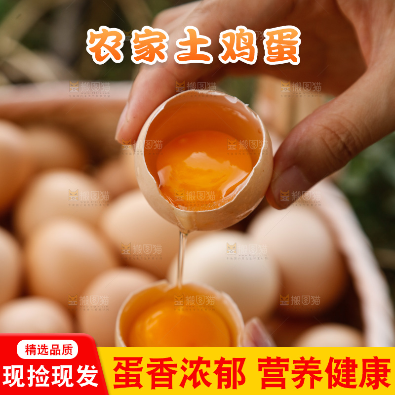 地上放着新鲜土鸡蛋