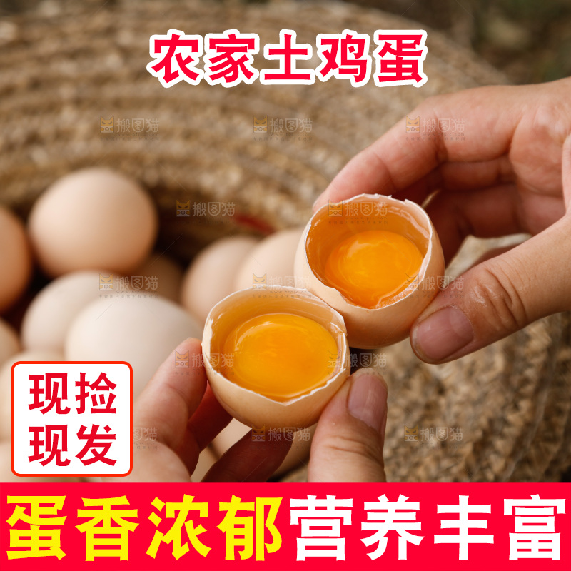 地上放着新鲜土鸡蛋