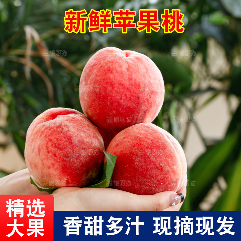 手里拿着苹果桃