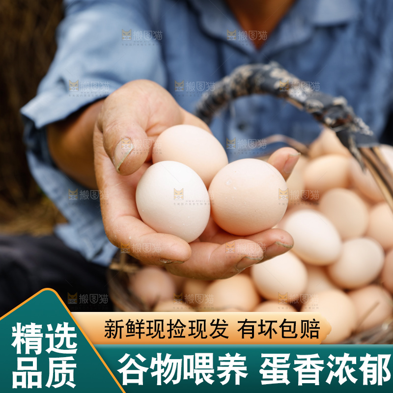 手里拿着土鸡蛋