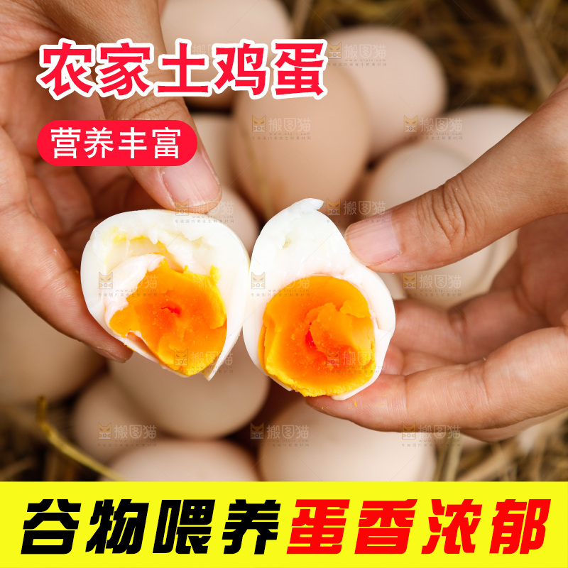 地上放着新鲜土鸡蛋