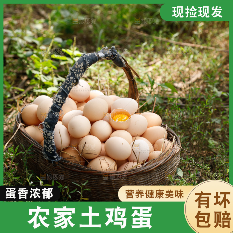 地上放着新鲜土鸡蛋