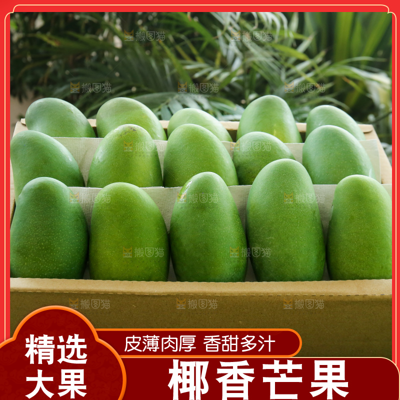 深底上的椰香芒
