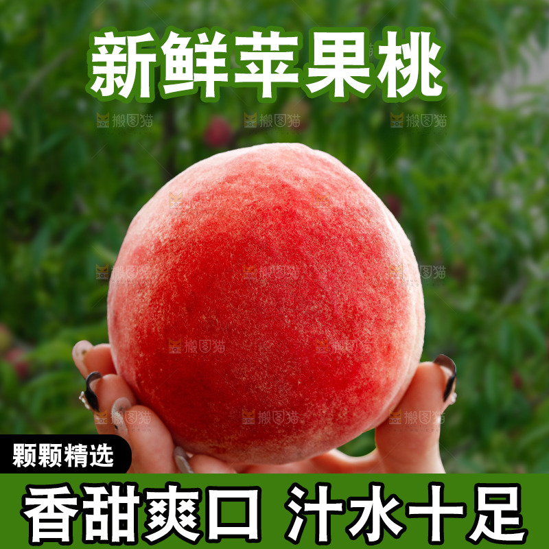 手里拿着苹果桃