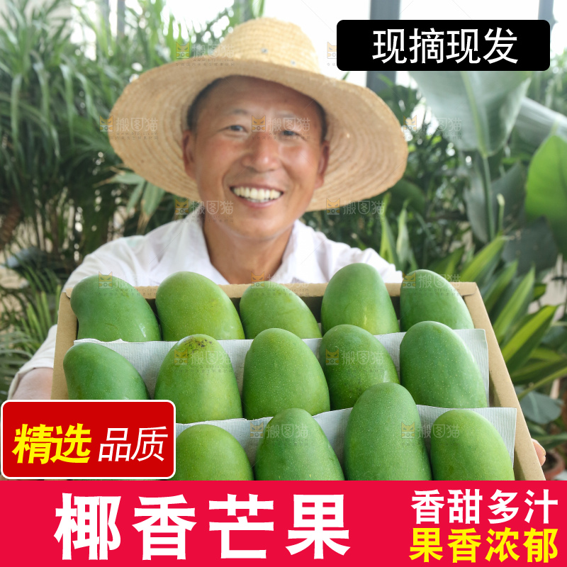手里拿着椰香芒