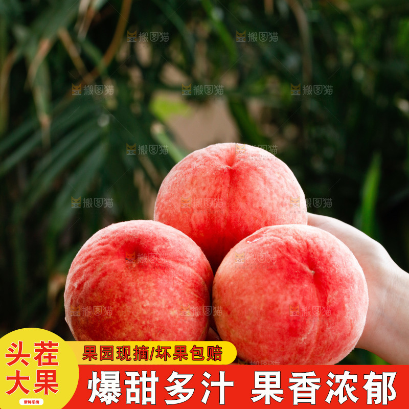 手里拿着苹果桃