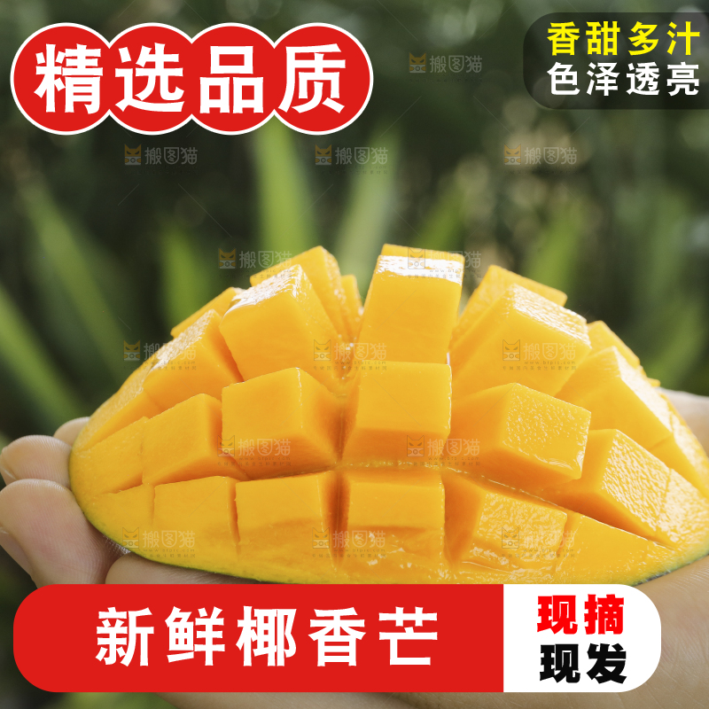 手里拿着椰香芒