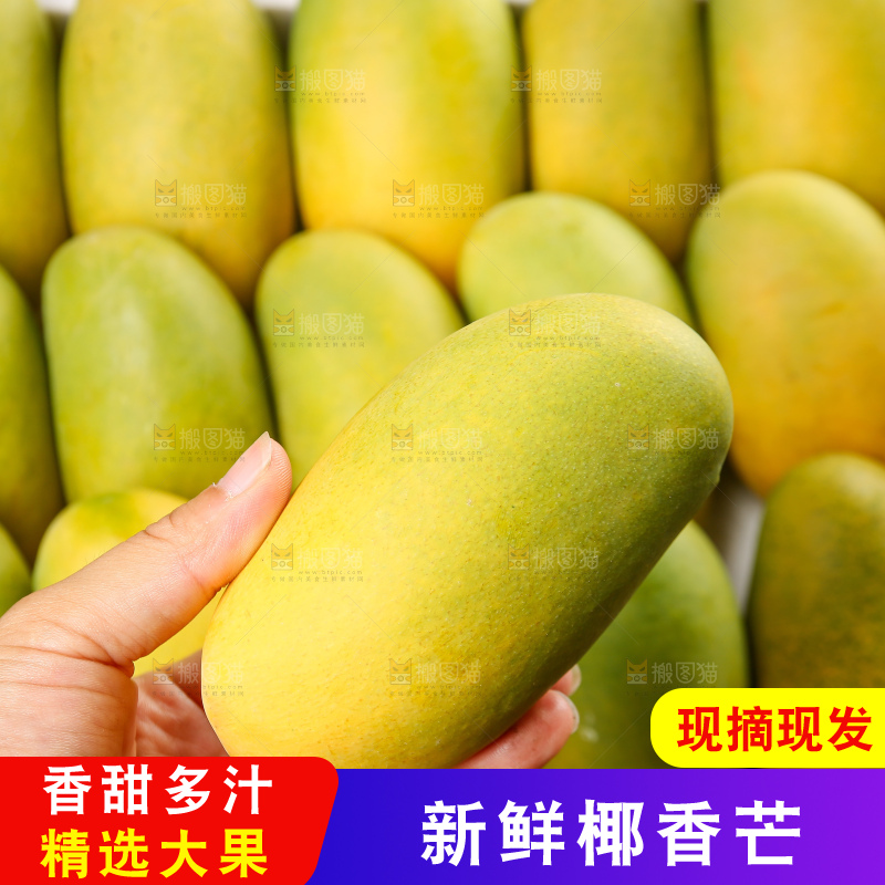 深底上的椰香芒