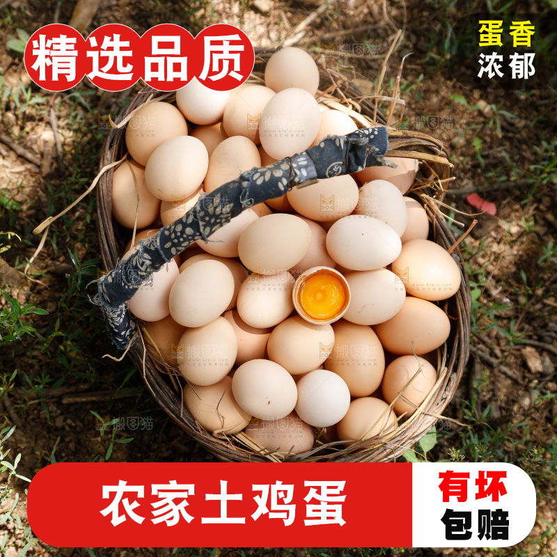 地上放着新鲜土鸡蛋