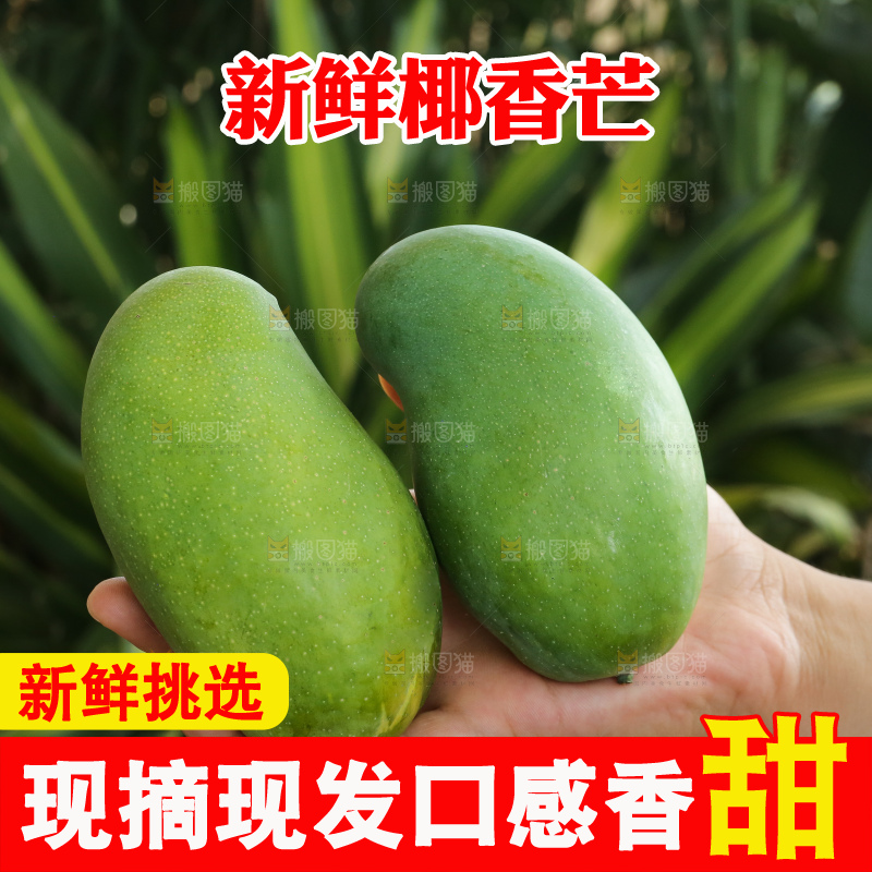 手里拿着椰香芒