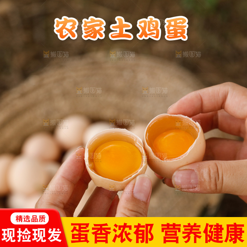 地上放着新鲜土鸡蛋