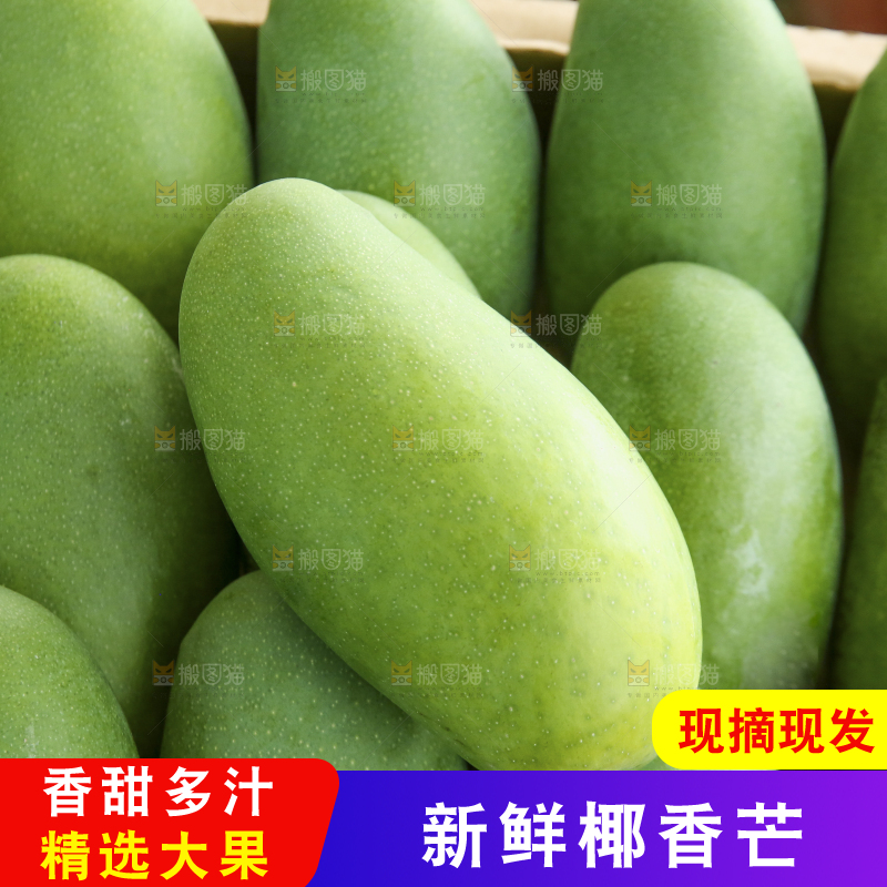 深底上的椰香芒