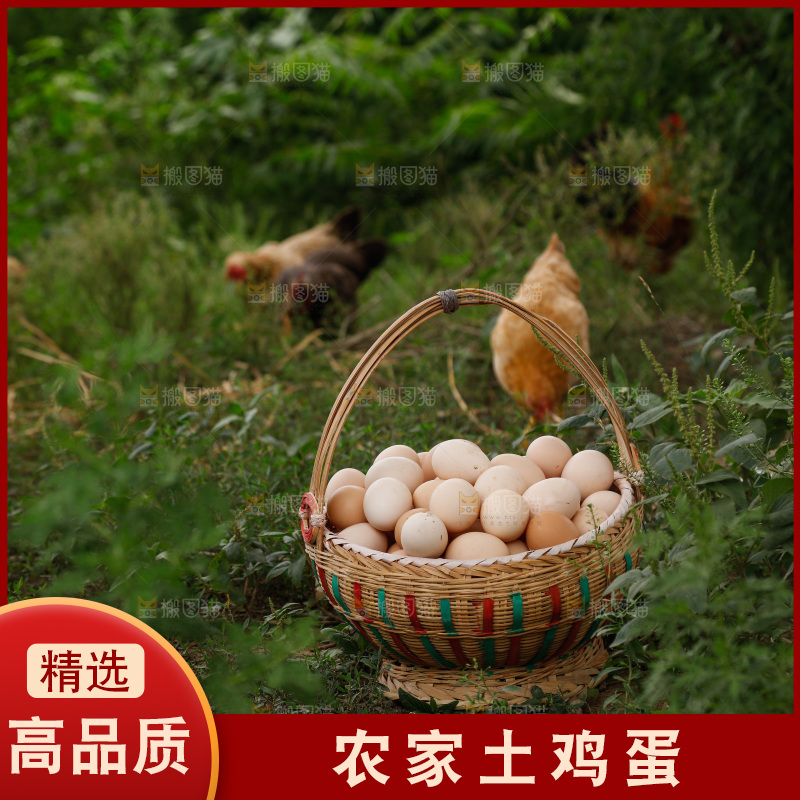 地上放着新鲜土鸡蛋