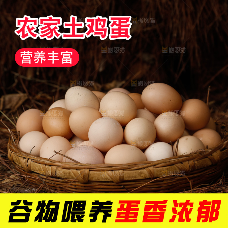 地上放着新鲜土鸡蛋