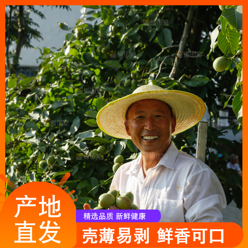 手里拿着青核桃