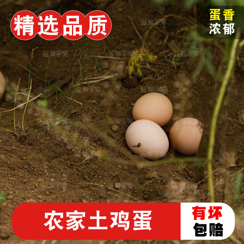 地上放着新鲜土鸡蛋